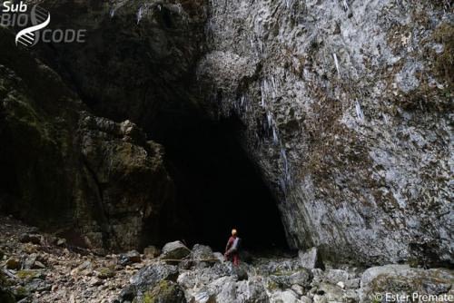 Impresivan ulaz u pećinu Vranjaču
