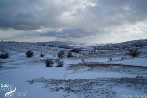 Зимски пејзаж на путу до Драмешине пец́ине.