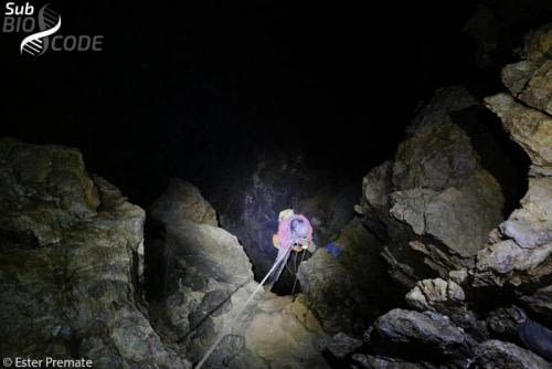 Након узорковања пећина у Поповом пољу отишли смо према Орјену како би посетили Водену пећину у Бравенику. 
