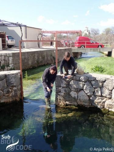 Measuring water parameters at Vrelo Oko in Zazid in Trebinje.