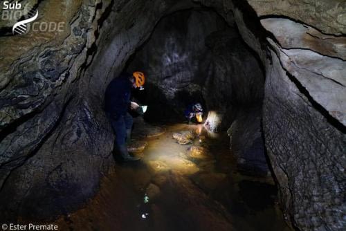 Ханс и Беки прегледавају мрежу у нади да су ухватили нешто. Пећина Мора, коју смо посетили заједно са Мађарским гњурцима. 