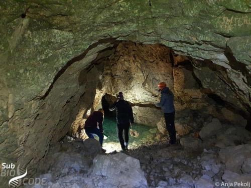 Sampling in Šnjetica cave.